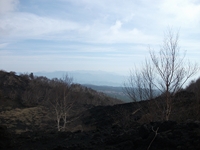 otta di Serracozzo-201100508 036